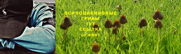 мяу мяу мука Верхнеуральск
