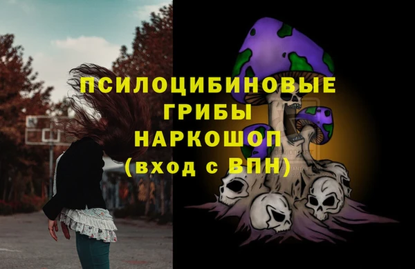 не бодяженный Новодвинск